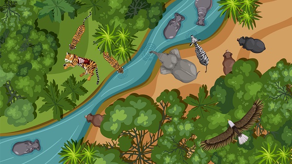 Biodiversity Conservation: Why It Matters More Than Ever